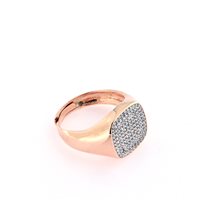 Anello Forever Gioielli Donna Anello Con Pietra in Argento Zircone FGAN00104 - FGAN00104